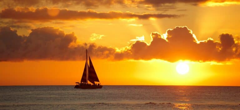 Read more about the article Waikiki Wonders: Exploring the Marine Life Along the Coast
