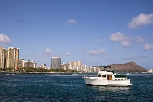 Dolphin sightings on a Waikiki coast tour